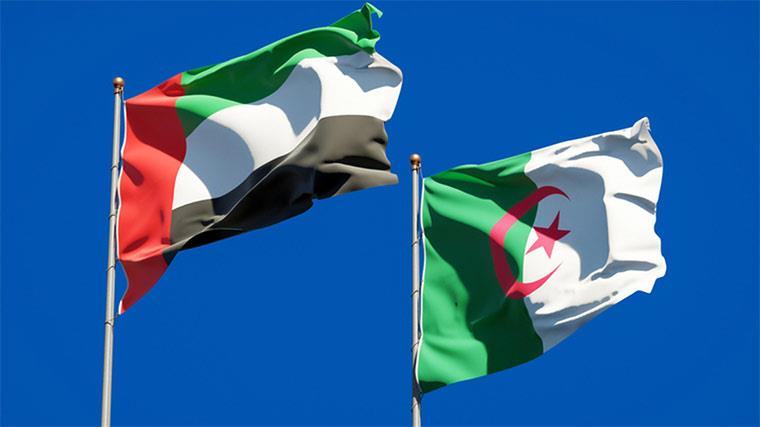 الجزائر وسياسة الحافة: من توترات الجوار إلى الصدام المفتوح مع الإمارات