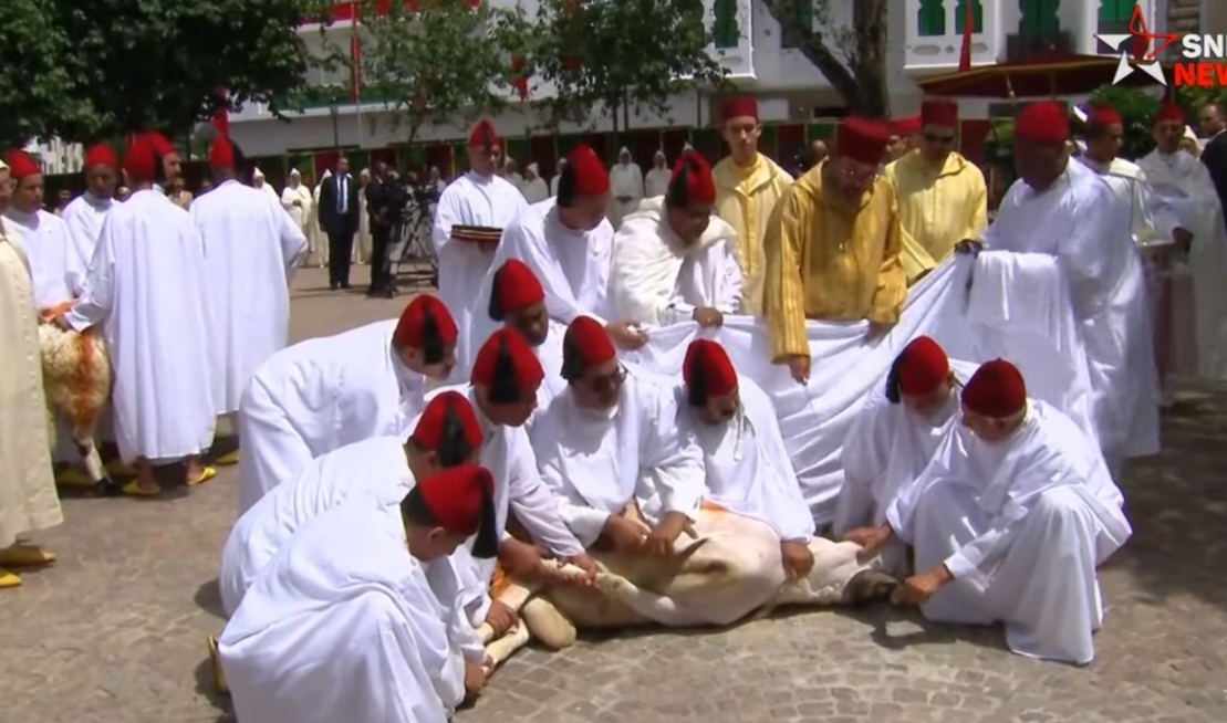 الملك يؤدي صلاة العيد وينوب عن الشعب في نحر الأضحية