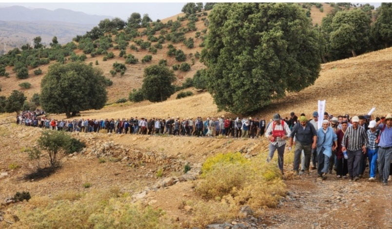 الديش للمحيط: نطالب بترجمة التوجيهات الملكية إلى إجراءات ملموسة لإنصاف الجبل
