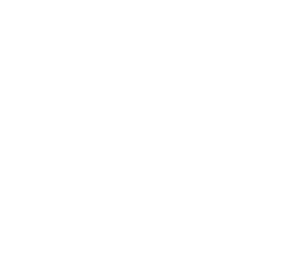 المحيط