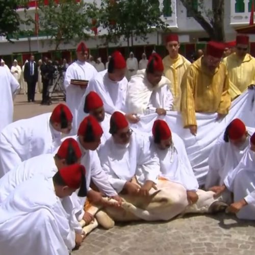 الملك يؤدي صلاة العيد وينوب عن الشعب في نحر الأضحية
