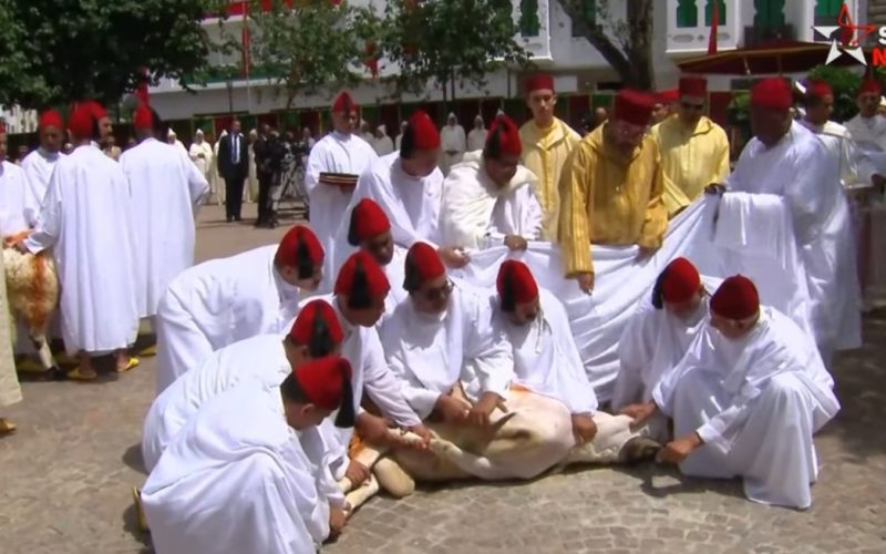 الملك يؤدي صلاة العيد وينوب عن الشعب في نحر الأضحية