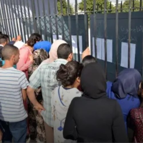 نسبة النجاح في بكالوريا 2025 تتجاوز 83 بالمئة