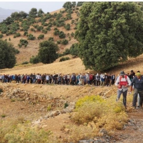 الديش للمحيط: نطالب بترجمة التوجيهات الملكية إلى إجراءات ملموسة لإنصاف الجبل