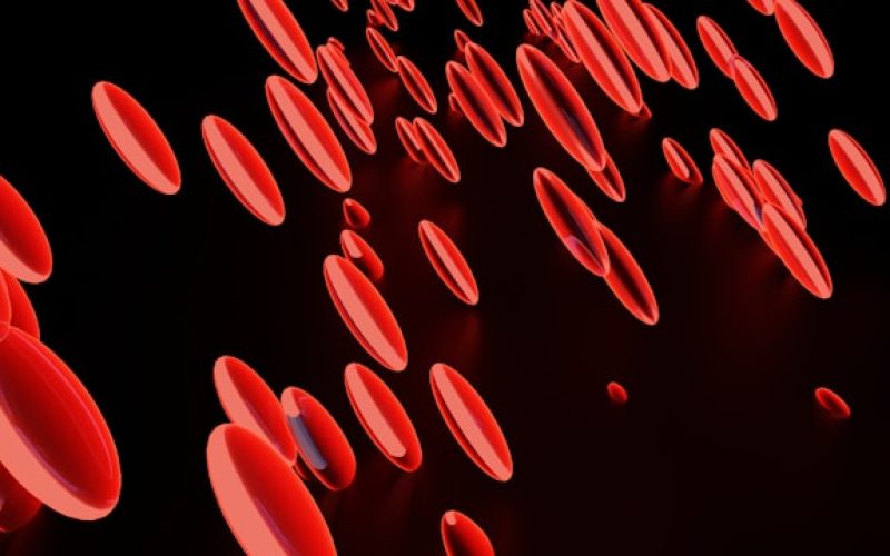 ماذا تكشف فصيلة دمك عن شخصيتك؟.. الجواب سيذهلك