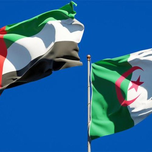 الجزائر وسياسة الحافة: من توترات الجوار إلى الصدام المفتوح مع الإمارات