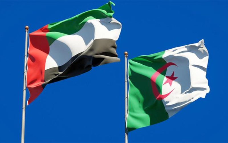 الجزائر وسياسة الحافة: من توترات الجوار إلى الصدام المفتوح مع الإمارات