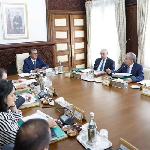 القرض الفلاحي يقرّ خطة جديدة لإنقاذ القطيع الوطني وتعزيز صلابته المالية