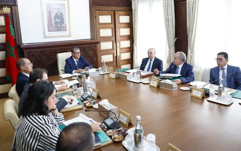 القرض الفلاحي يقرّ خطة جديدة لإنقاذ القطيع الوطني وتعزيز صلابته المالية
