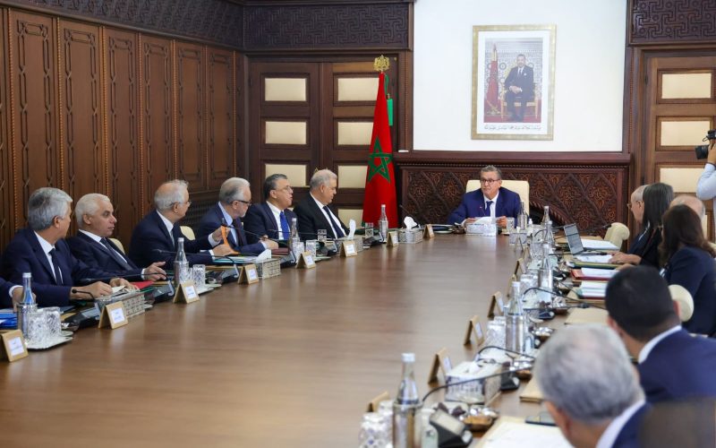 رسميا ..هذه تشكيلة حكومة أخنوش الجديدة
